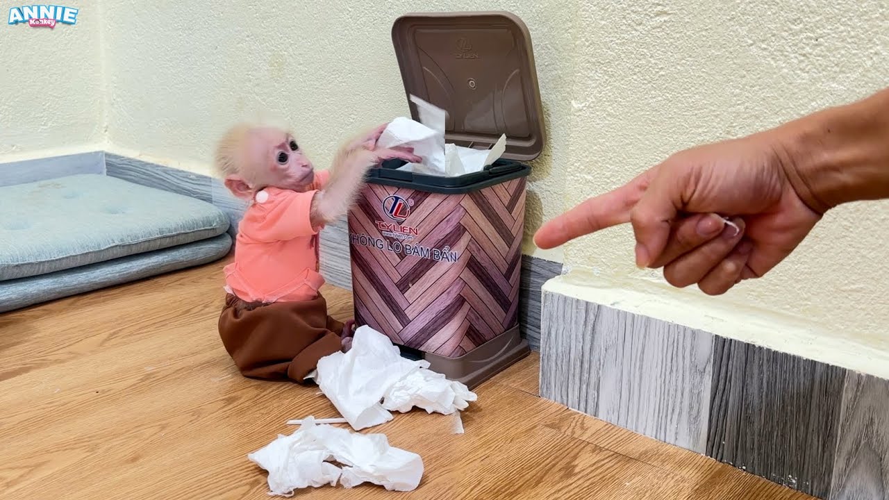 Will monkey Annie be punished by her dad for wasting paper?