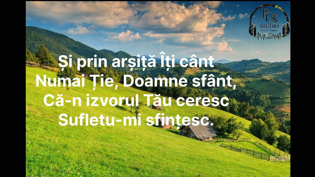 Doamne bunatatea ta-Negativ-David Pantea🎼