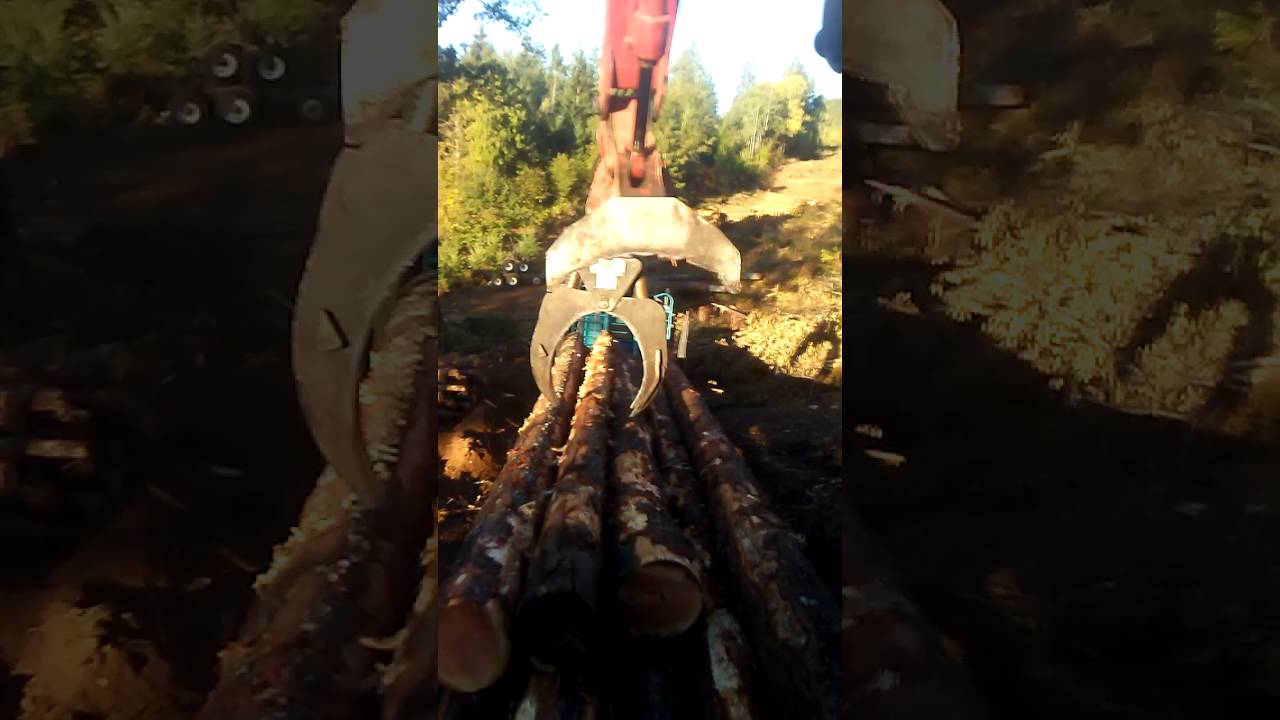 West coast logging loading trucks