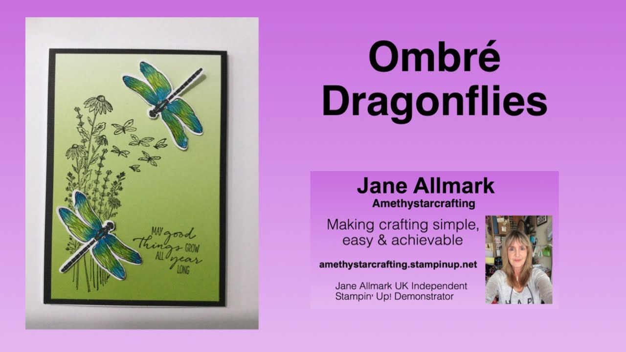 Dragonfly Garden bundle ombre card with tips for water colouring the dragonfly.