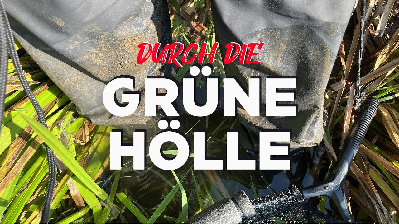 DURCH DIE GRÜNE HÖLLE / Fliegenfischen im Urwald #flyfishing #fliegenfischen #fishing