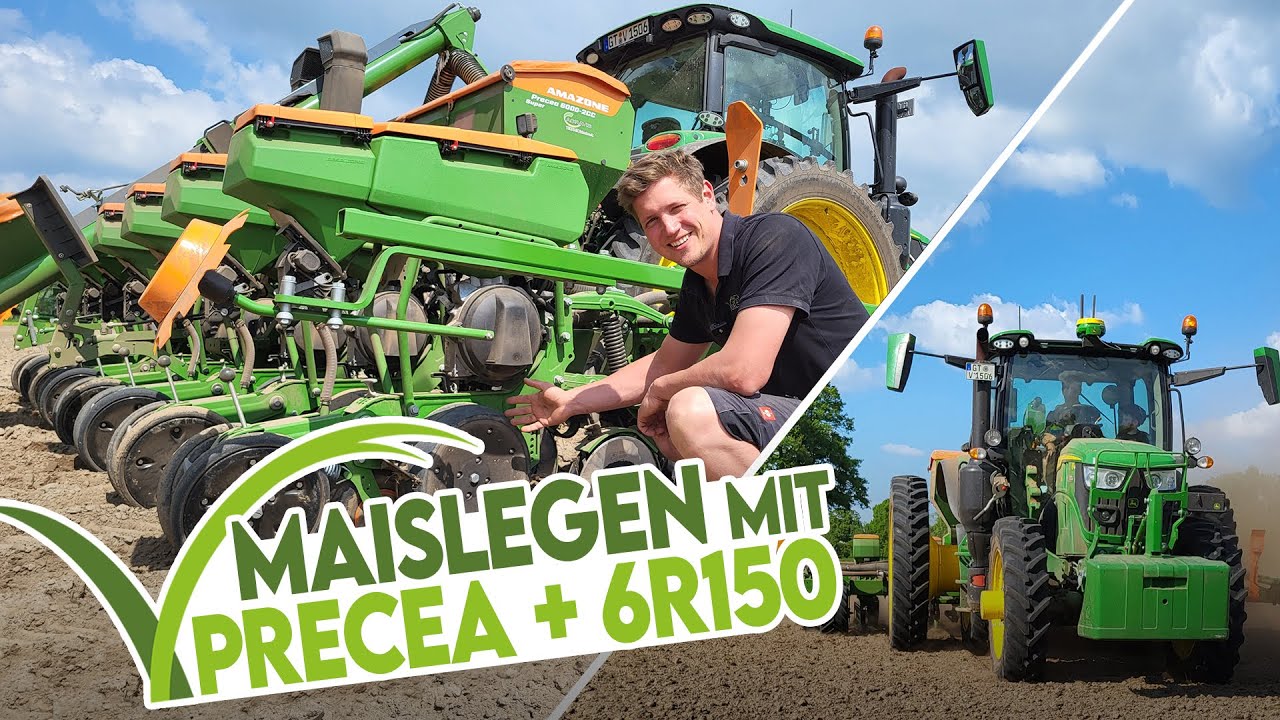 🌽 Maislegen 2024 mit Amazone Precea 6000: Grenzen, technische Details, Fahrbericht 🧐