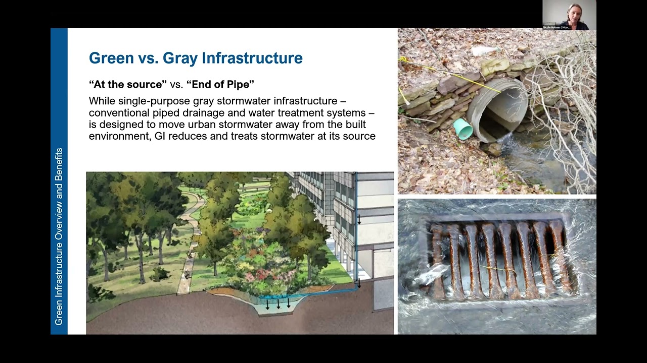 BSA Green Roof Infrastructure Team: Green Infrastructure as a Resilient Design Solution (10/02/24)