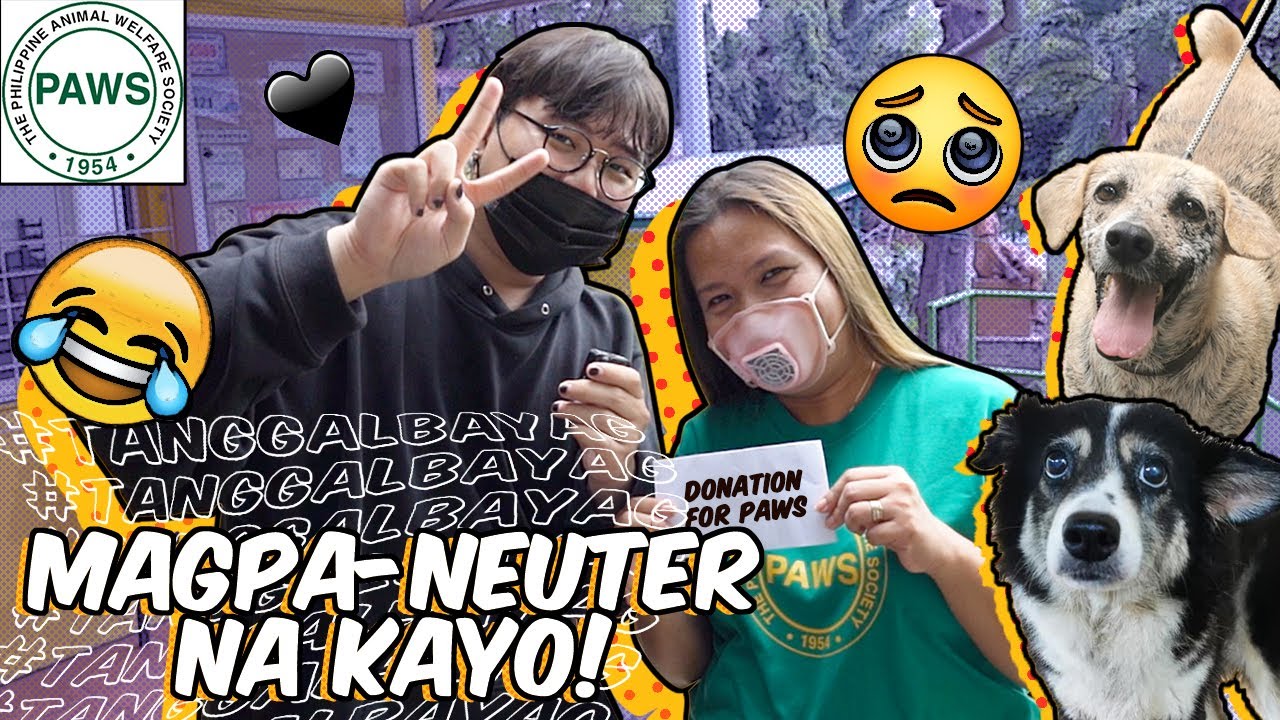 I visited an Animal Rehabilitation Center #BirthdayVlog