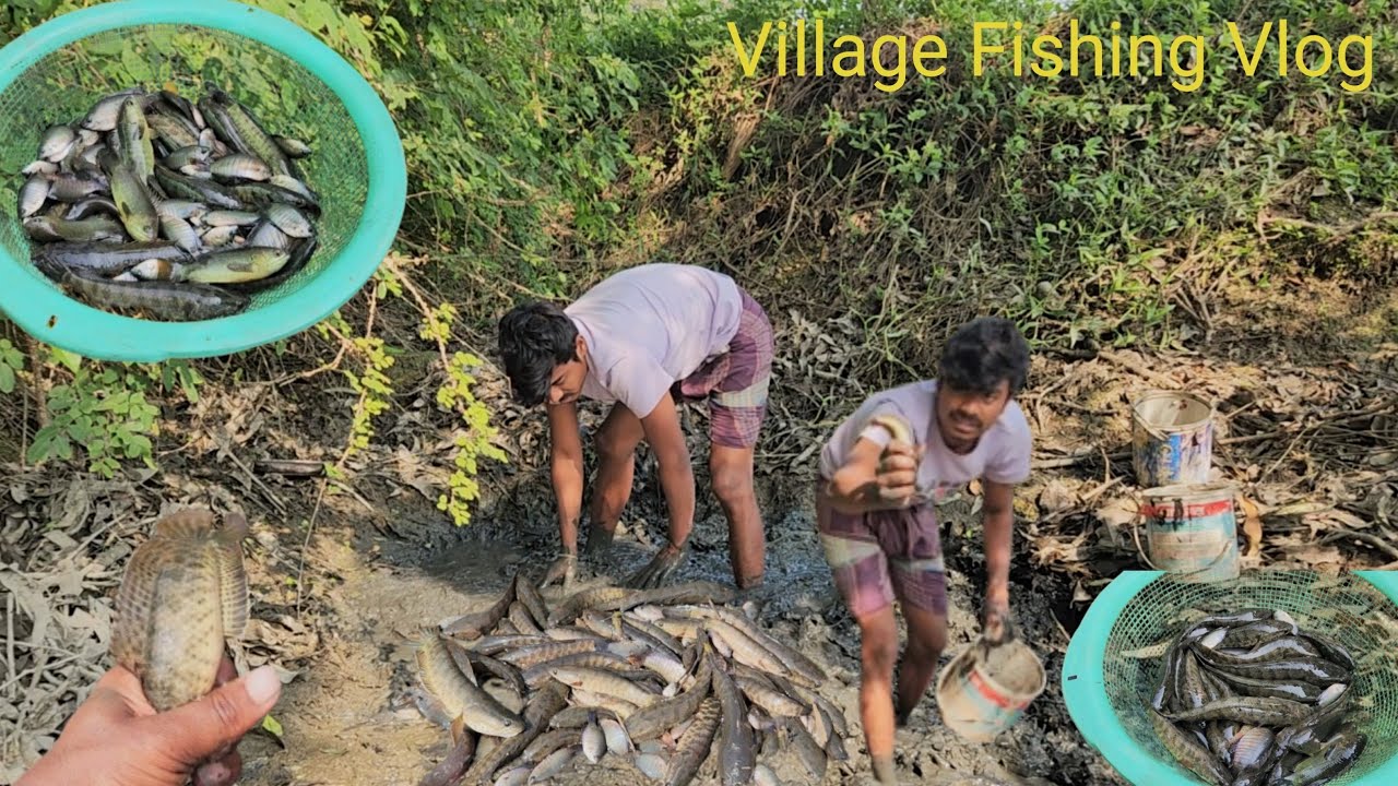 এখানে যে এতগুলো মাছ পাবো স্বপ্নেও ভাবি নাই । কি ভাবে সম্ভব ? Simple Village Fishing Vlog | Dali Vlog