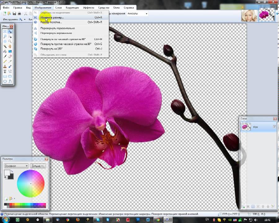 Урок для начинающих Работа в графическом редакторе Paint.net
