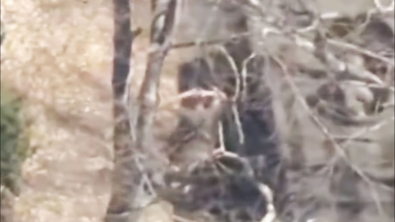 FBI Arrests National Guardsman Suspected of Leaking Pentagon Documents