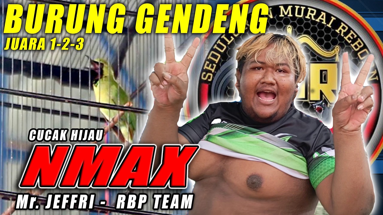 SAPU BERSIH PODIUM || Cucak Hijau NMAX  PEMILIK Mr. JEFFRI Kuasai SMR feat NIAGA LAUT