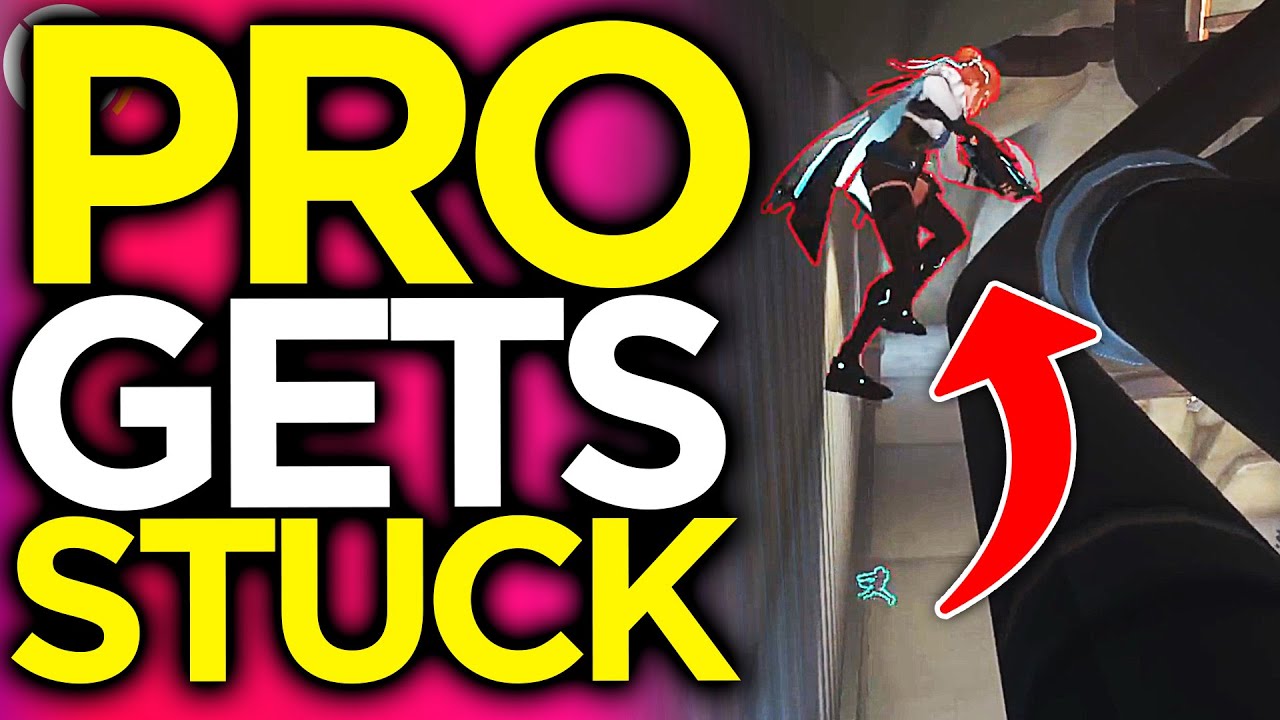 They Had To Pause The Game Because Of This BUG! - Overwatch 2