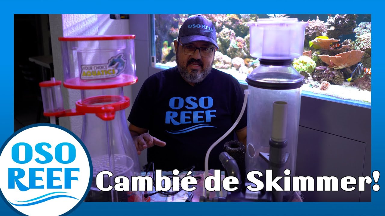 Cambio de Skimmer ASM G3 vs GS20
