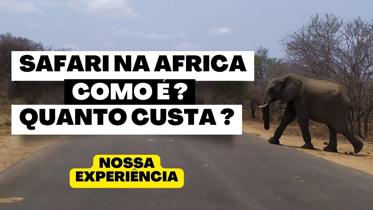 COMO É E QUANTO CUSTA FAZER UM SAFARI NA AFRICA DO SUL ?