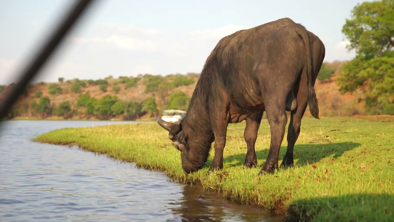 Cresta Mowana Safari Resort and Spa