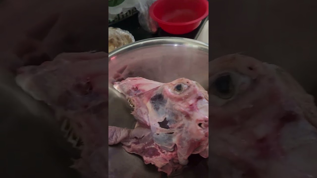 Birria de chivo delicia. 