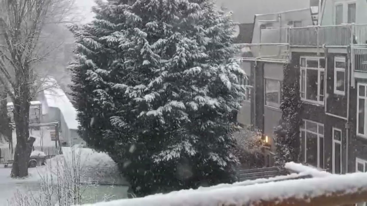 Most Satisfying Snow Fall For Relaxing Sleeping | Relaxing Snow Fall No Music Meditation 