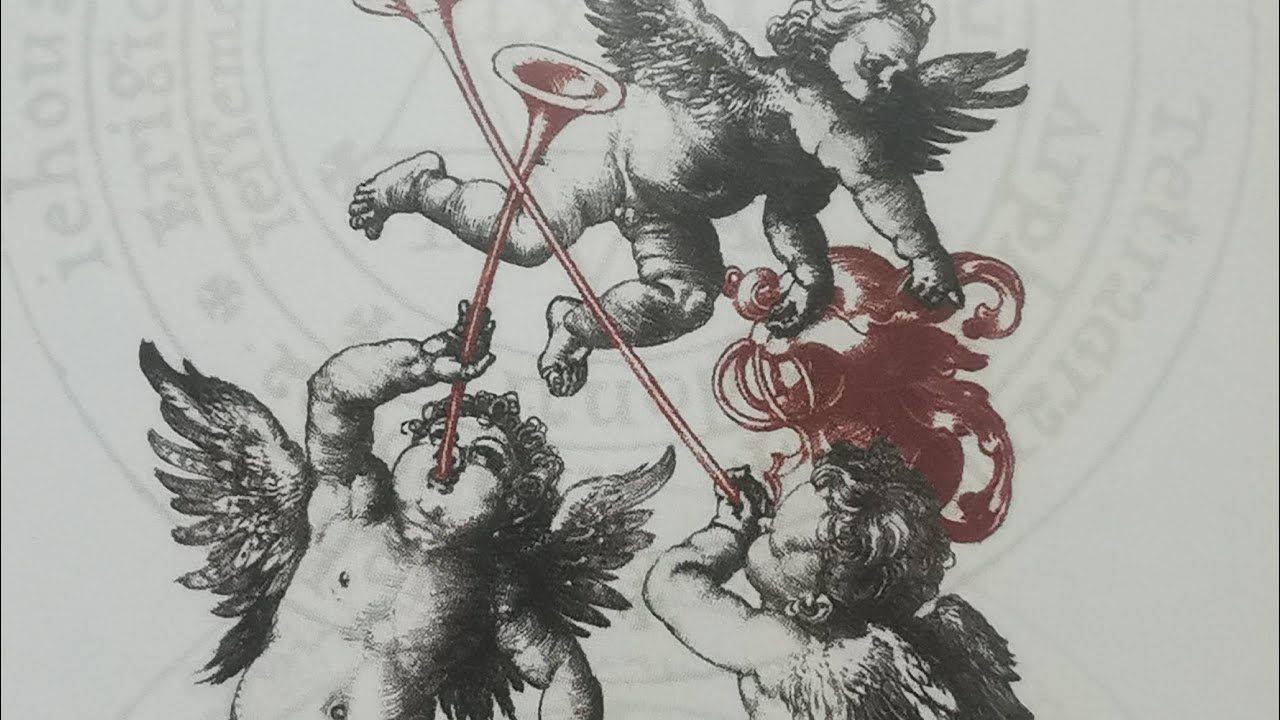 DESCUBRÍO LA KARMIC@ Y EL ENTORNO ECHÁNDOLE BRUJERÍAS EN LAS COPAS,ESTÁN TODOS COMPRADOS☠️😱 #144000 