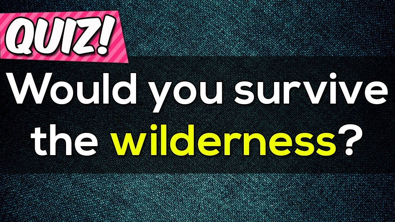 Would you survive the wilderness? Personality Test | Survival Test