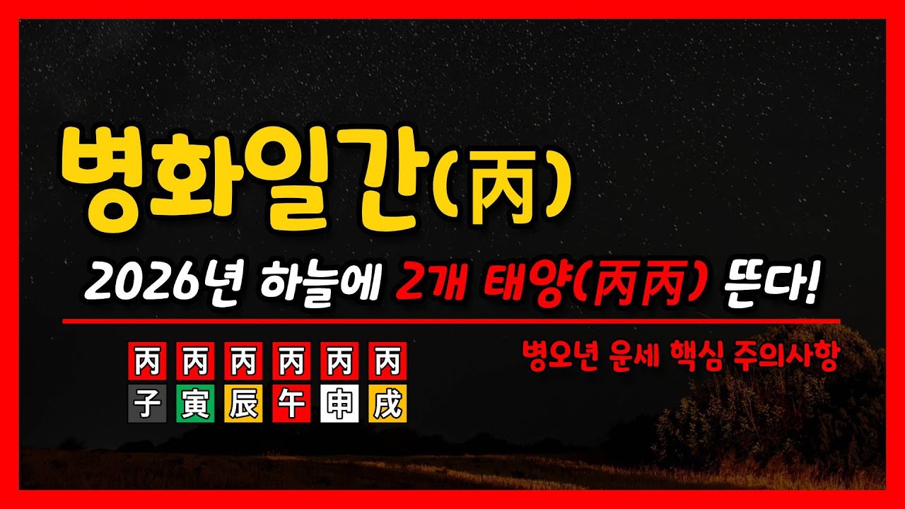 병오년) 병화일간 운세 심층분석