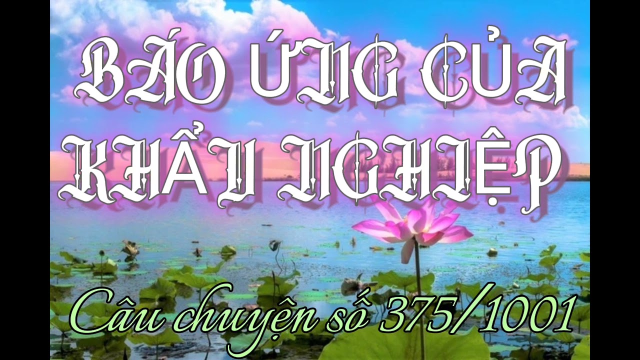 BÁO ỨNG CỦA KHẨU NGHIỆP