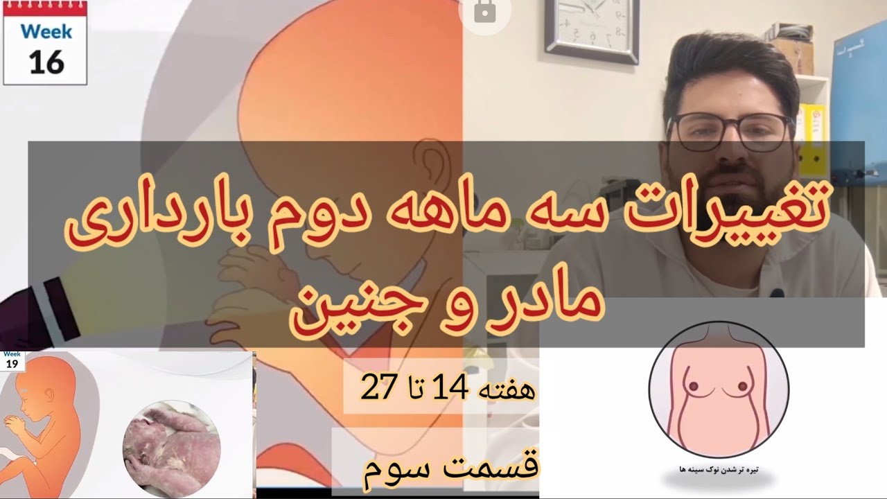 تغییرات سه ماهه دوم بارداری مادر و جنین| هفته 14 تا 27| قسمت سوم