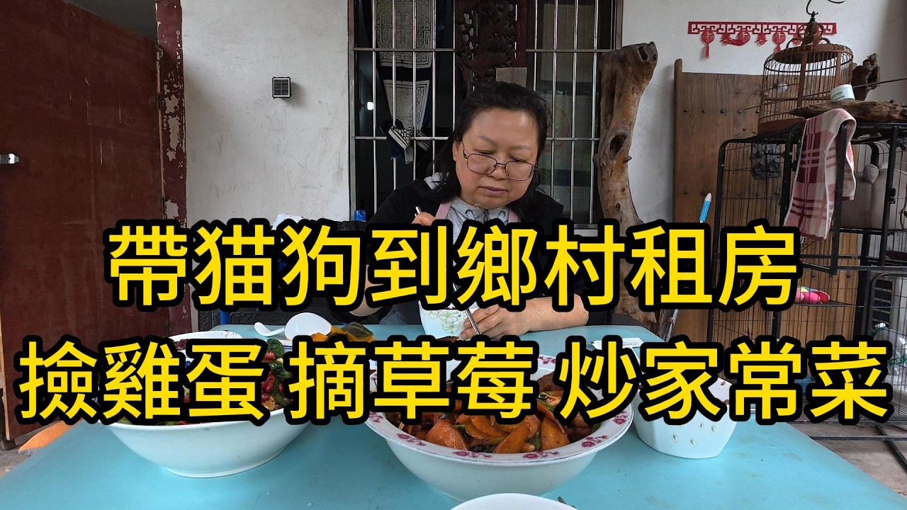 退休阿姨帶著流浪貓狗搬鄉下後｜60後阿姨撿蛋摘草莓炒農家菜，真實又接地氣#vlog #cooking #台灣 #food #美食#簡單生活 #鄉村生活#退休生活