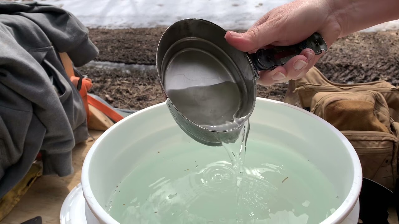 2021 Birch Sap harvesting and Syrup making
