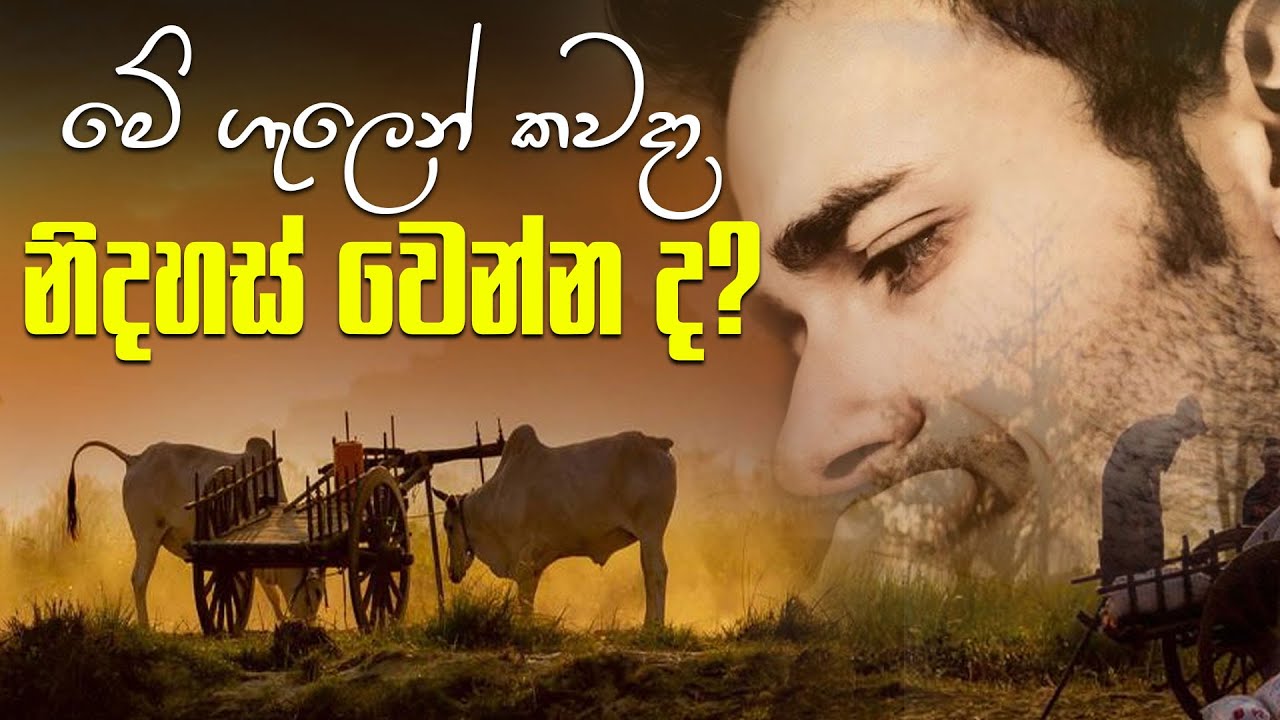 මේ ගැලෙන් කවදා නිදහස් වෙන්න ද?