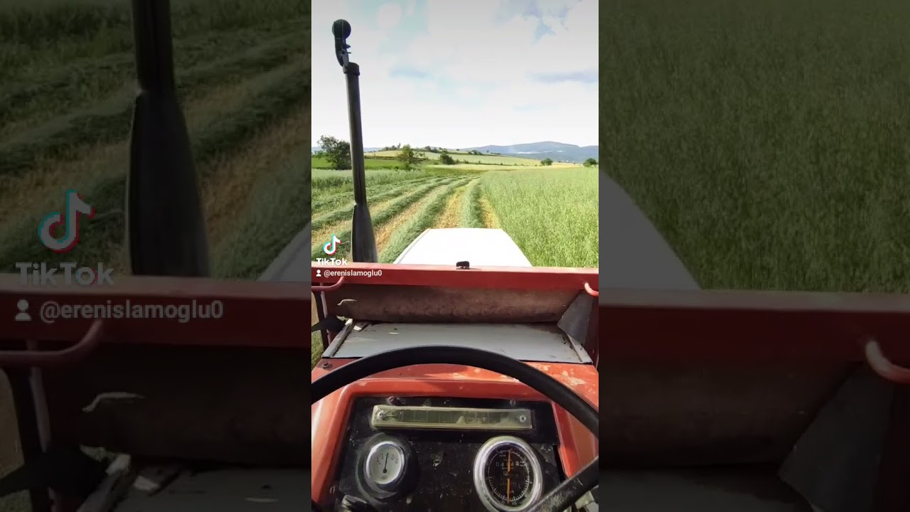 yulaf biçimi steyr 8073