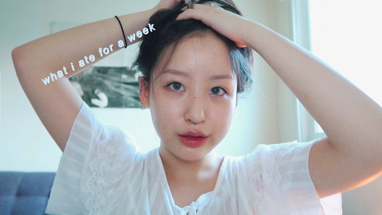 진진의 여름 사료 2018🍚 어쩌다보니 집밥 특집｜JINJIN 진진