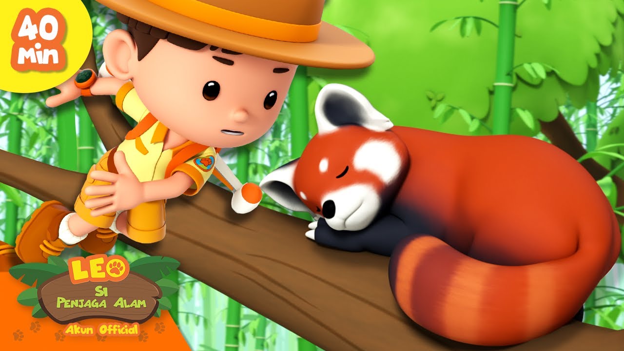 WAKTUNYA BANGUN, PANDA MERAH!! ⏰ | 1 JAM | Hewan Paling Imut | Leo Si Penjaga Alam | Kartun Anak