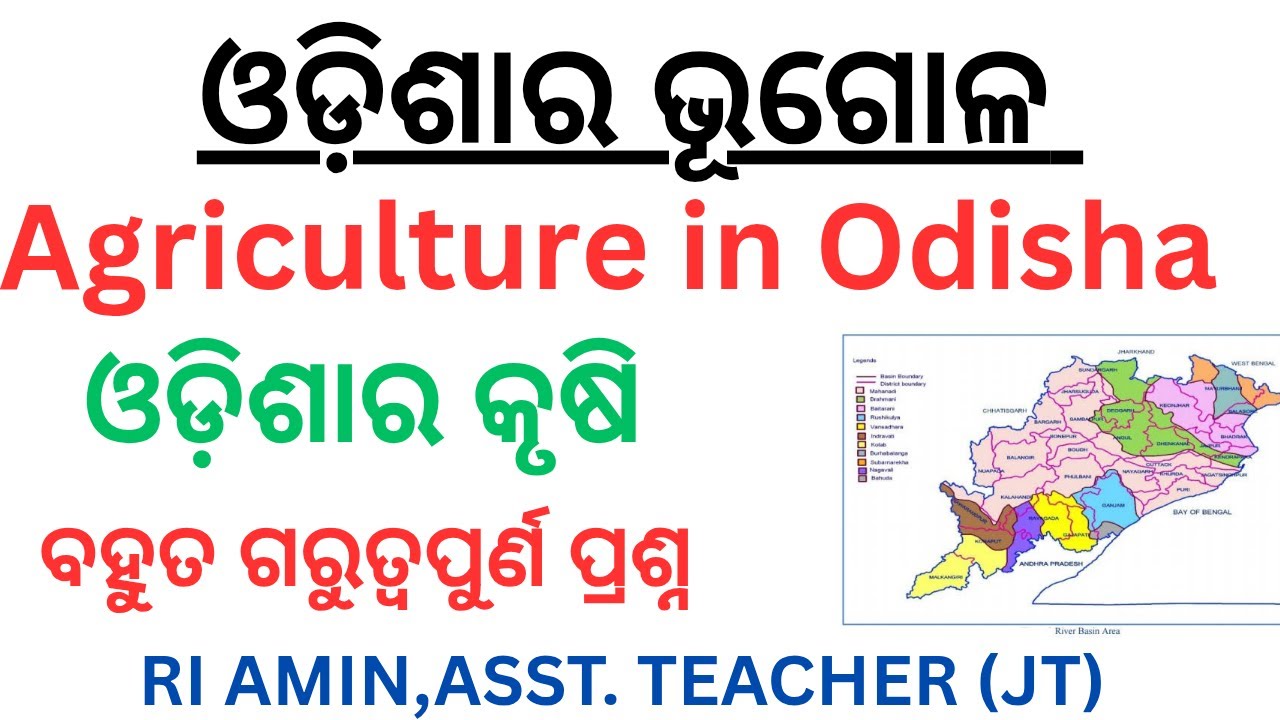 Agriculture in Odisha||Odisha Geography Class for OSSC,OSSSC,JT 2025 Exam||Odisha gk||#osssc #ossc