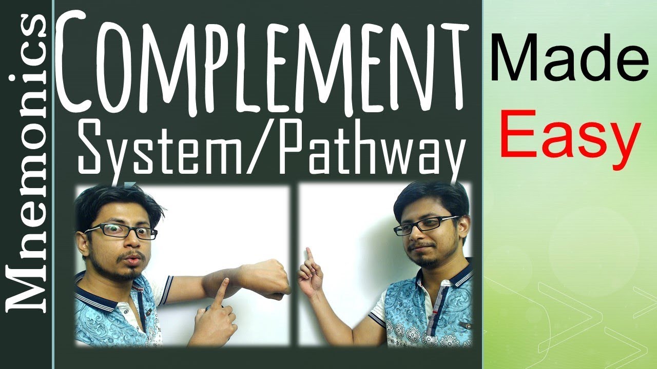 Complement pathway made easy