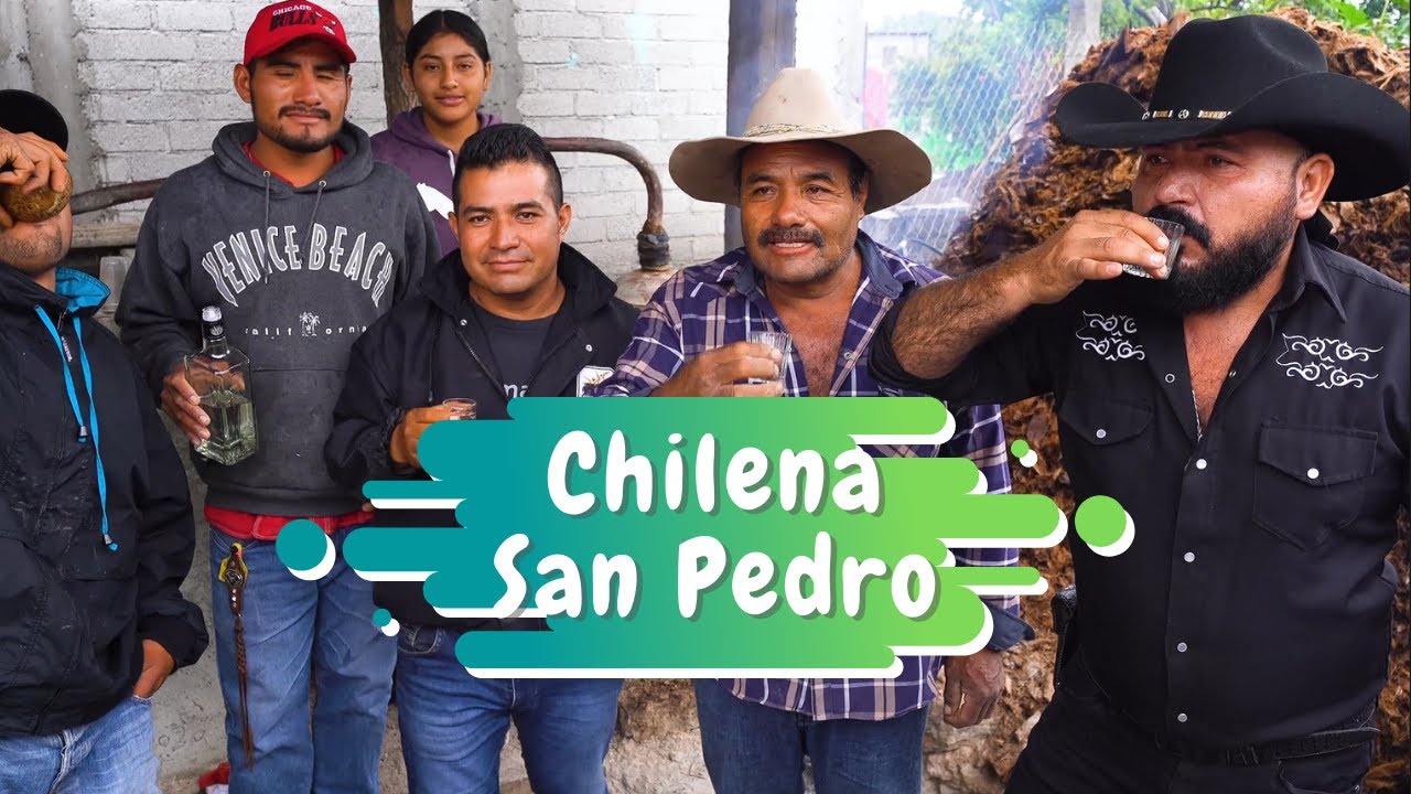 Virgilio Díaz y Su Extinción Felina – Chilena San Pedro (Video Oficial)