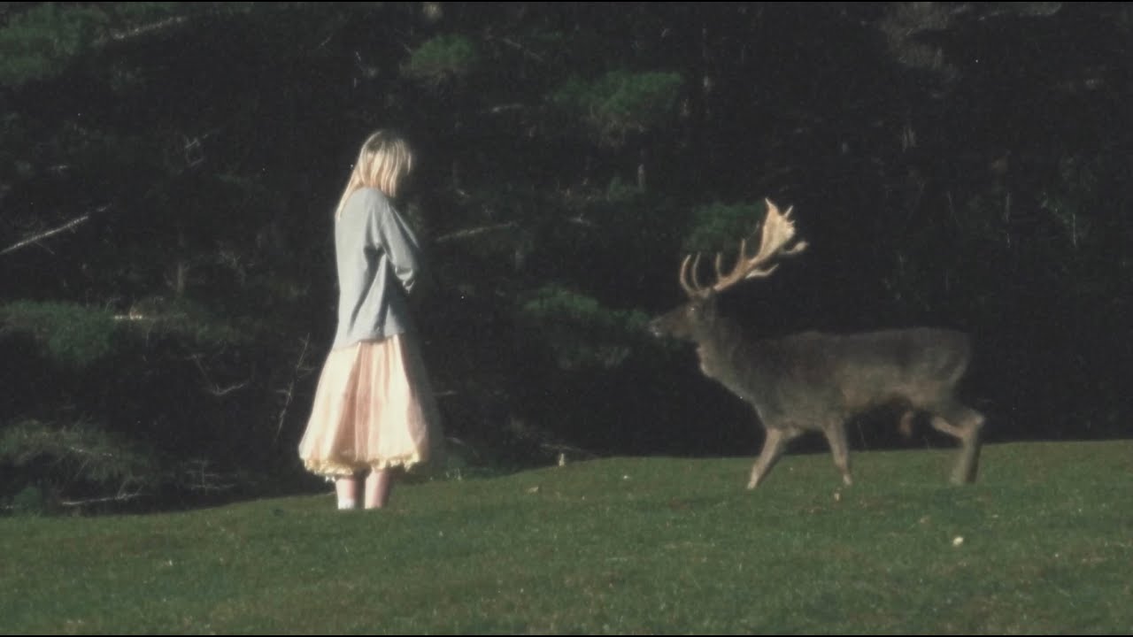 mieke - when bambi found her mother (Music Video)