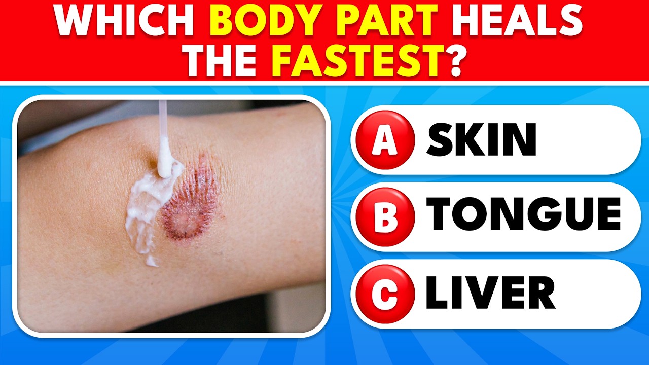 The ULTIMATE Human Body Quiz! 🧠💪 50 DIFFICULT Anatomy Questions | The Quiz Zone