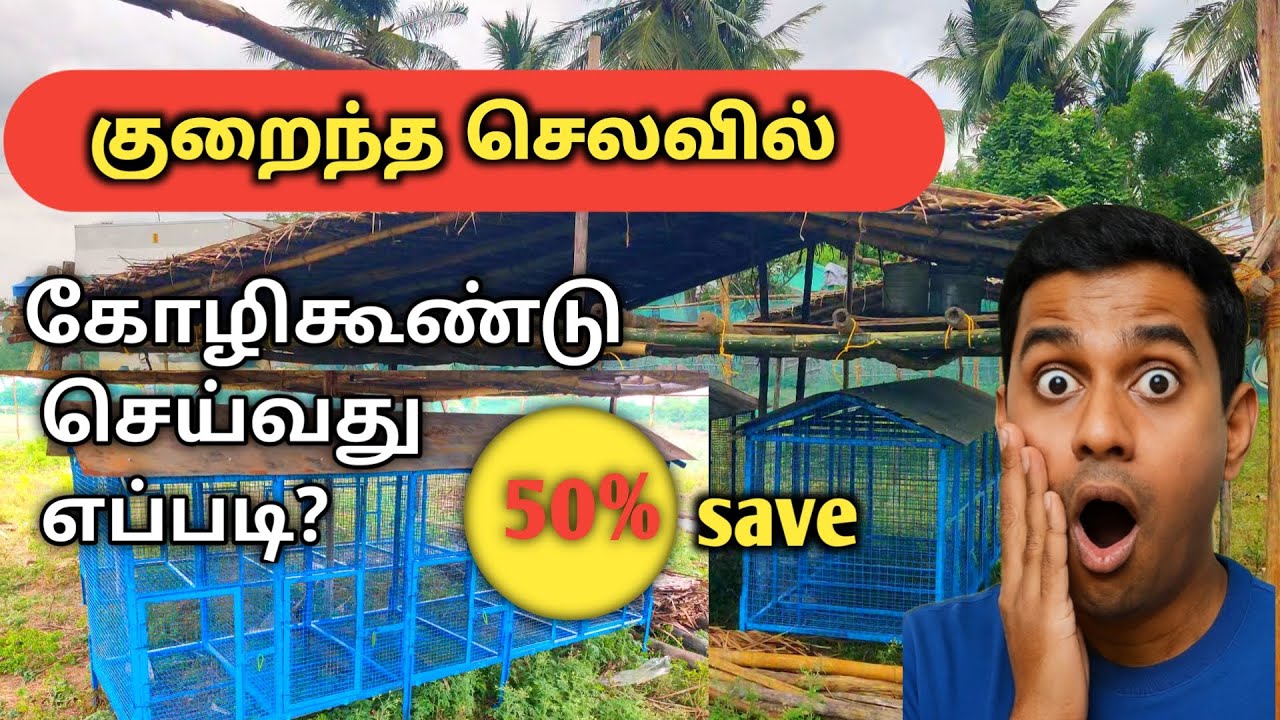 #farming | #நாட்டுக்கோழி |சிறிய முதலீட்டில் பெரிய நன்மை குறைந்த செலவில் கோழி கூண்டு அமைப்பது எப்படி