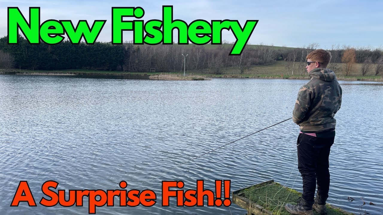 Fly Fishing at Springwater Fishery and a Surprise Fish!