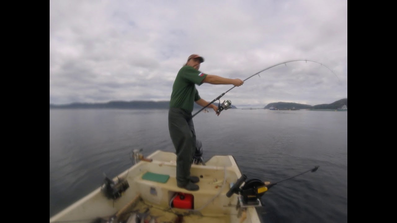 Norway Snillfjord 2017