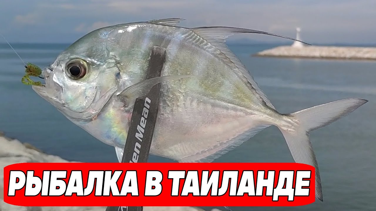 Поймали 4 вида рыб. Семейная рыбалка на бомбарду.