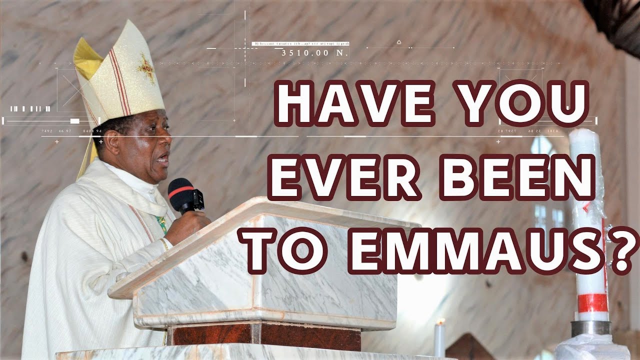 Have You Ever Been to Emmaus? | Bishop Godfrey I. Onah | 3rd Sunday of Easter, Year A