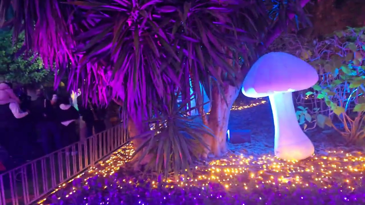 El Jardin de Los Sueńos / Murcia 