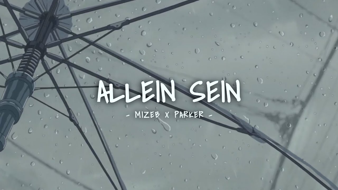 MiZeb X Parker - ALLEIN SEIN (prod. by COBRA)
