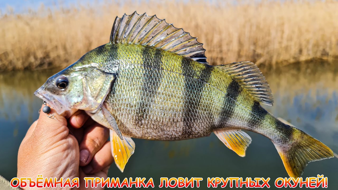 МИКРОДЖИГ! Объёмная приманка ловит крупных ОКУНЕЙ!