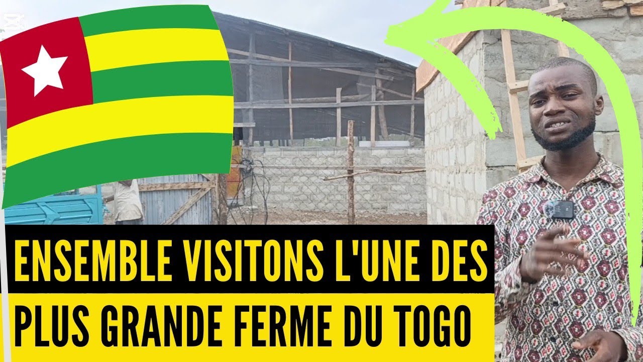 Je vous fais VISITER L'UNE DES PLUS GRANDE FERME DU TOGO(investir au pays en élevage de porc)