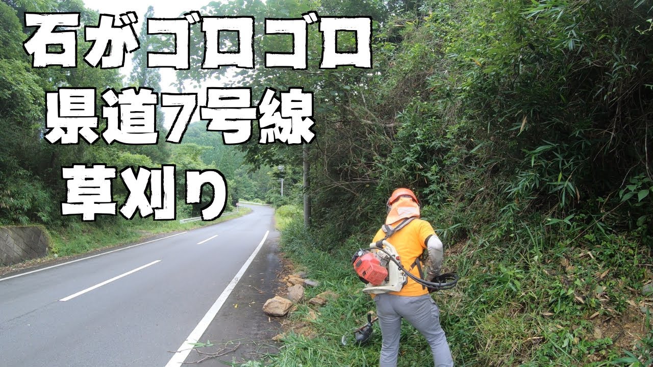 県道7号線を草刈りしてキレイにする
