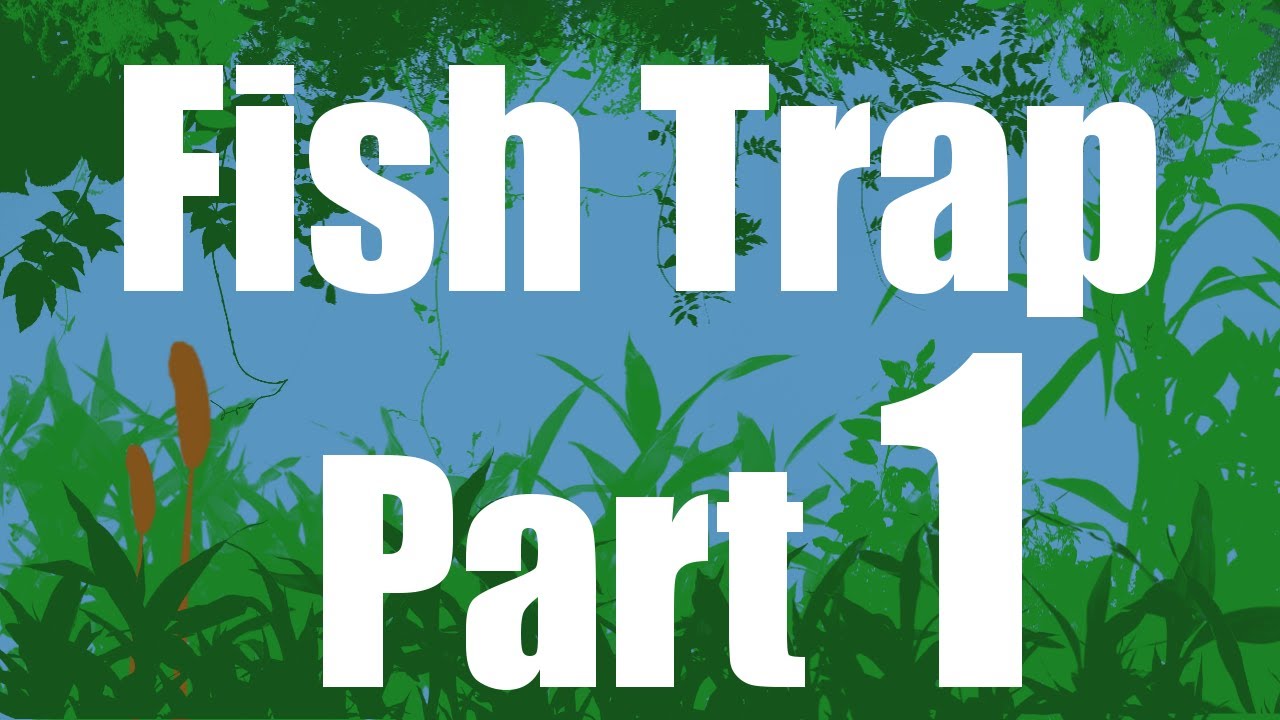 Bait Fish Trap at Cedar Swamp (Pt. 1)
