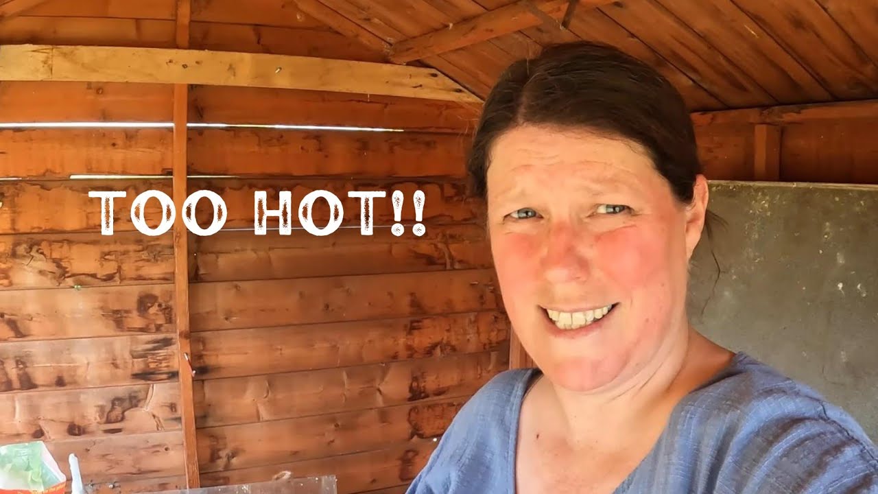 the SHED is now a SAUNA!!!