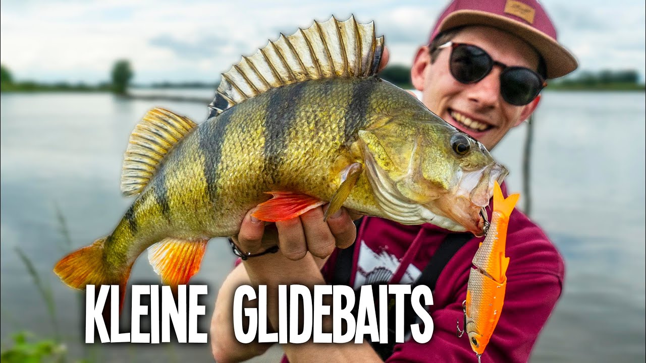 Is Vissen Met Glidebaits Een Game Changer? - VisTD