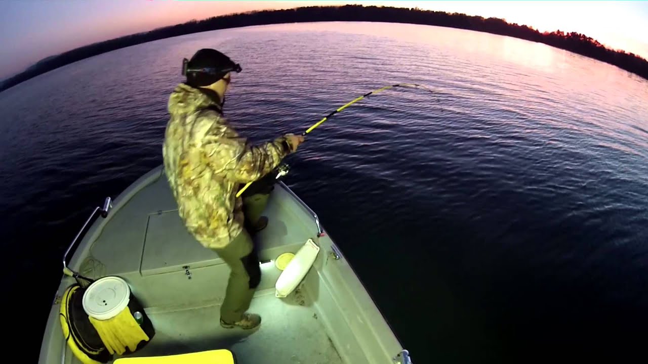 Veni Vidi Vici - the fastest catch of a catfish!