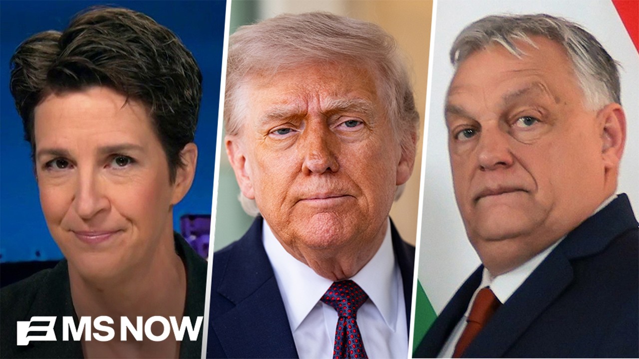 Maddow: Trump's fear is palpable as authoritarian peer Orb&aacute;n is resoundingly rejected in Hungary