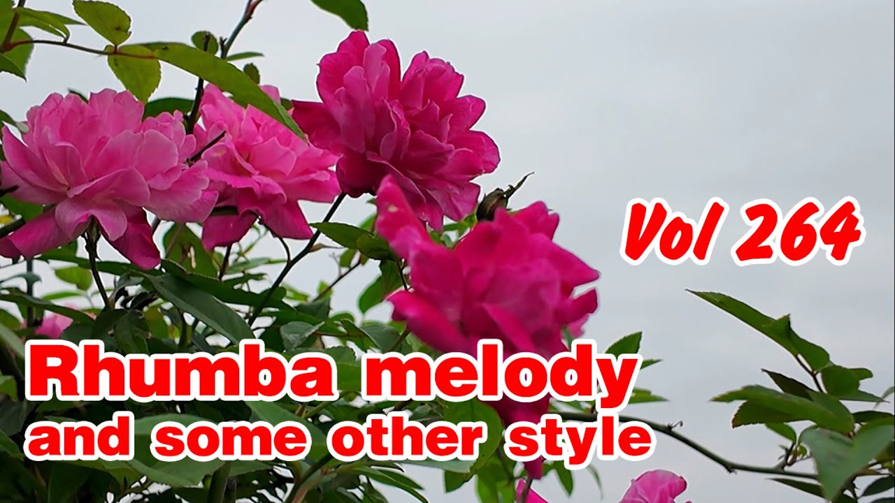 Rhumba and other styles, Autumn melodies beautify your, Peaceful relaxing music, RLX Vgreen vol 264